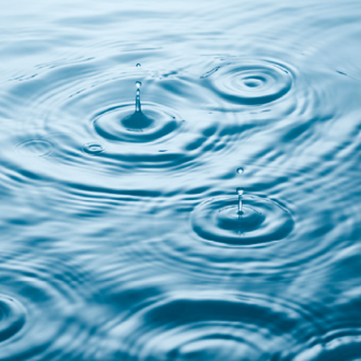 2025-Nonprofit-Insights-Sept-Email-Article-3