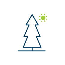 Tree_ParksRec_baseblue_green_transparent